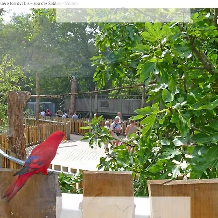 بيت ضيافة La Goelette Jolie Maison De Pecheur A 2 Pas De La Grande لي سابلِ دولونْ