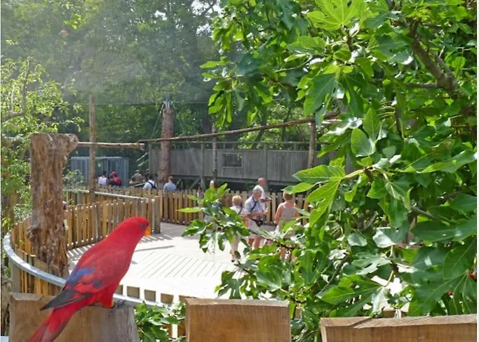 Konukevi La Goelette Jolie Maison De Pecheur A 2 Pas De La Grande Les Sables-dʼOlonne